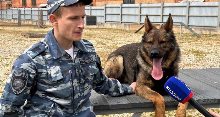 В Коми в ближайшем будущем заработает кинологическая служба