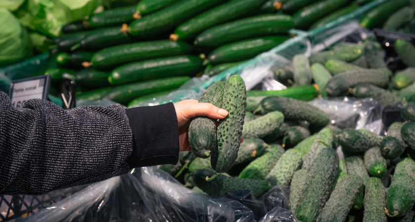 Забудьте про навоз. Полейте землю этим народным удобрением и будете собирать урожай огурцов ведрами