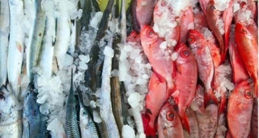 Рыба, которую запрещено подавать ко столу: а мы едим еще и детям даем