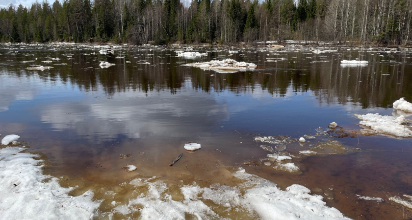 В Сыктывкаре рядом с гостиницей "Югор" в реку упала женщина