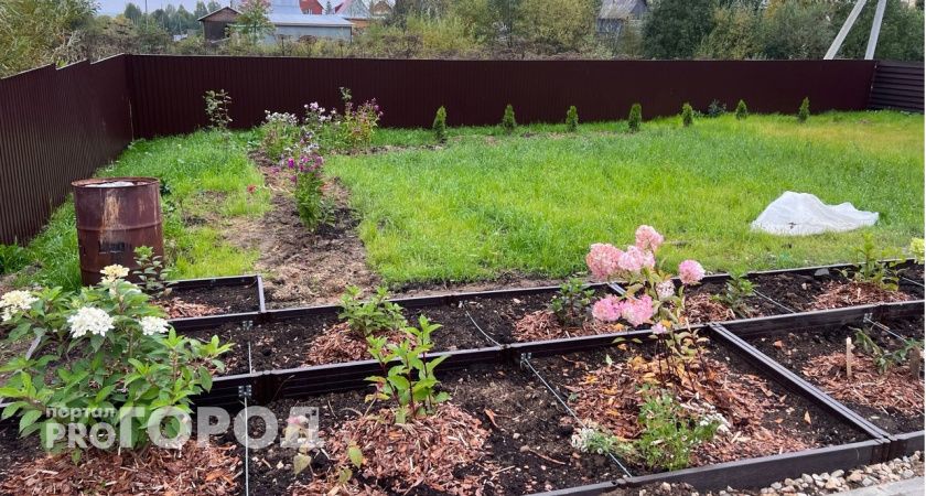 Спину гнуть не надо: хитрые дачники готовят один раствор для избавления от сорняков - без "химии"