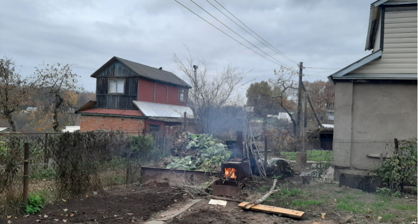 Полезные работы на даче в мае: что делать в саду и огороде – Антонов сад