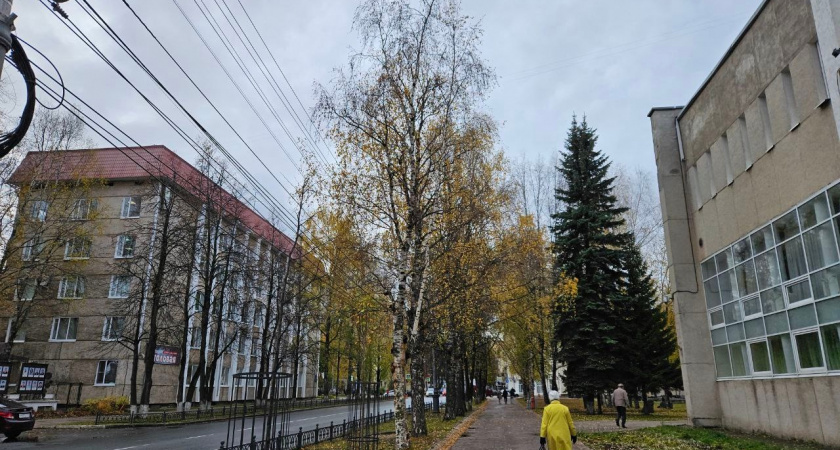 В Коми 4 мая пройдет небольшой снег