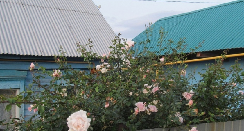 "Полный запрет с 10 мая". Абсолютно всех, у кого есть дача или огород, ждет сюрприз