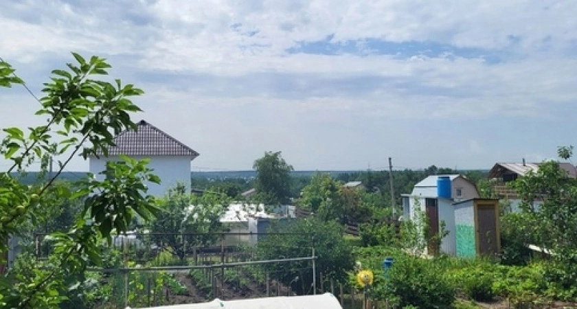 Самая вредная ягода: а мы едим ее как полезную, еще и детей заставляем