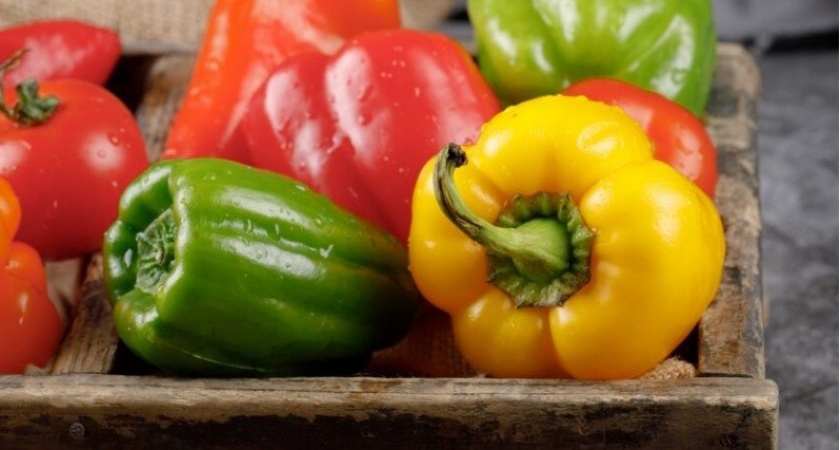 Сладкие и мясистые перцы заполонят грядки, если добавить эти две дешевые подкормки в мае