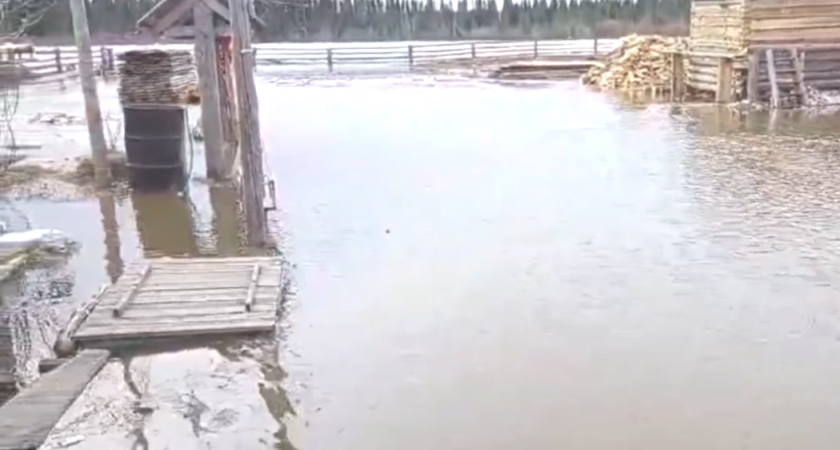 В Усть-Цилемском районе вода подтопила несколько населенных пунктов