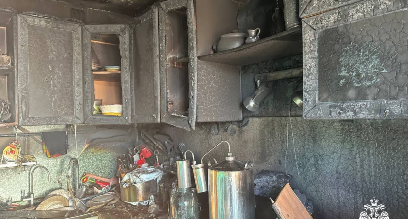 В Коми с начала 2024 года в пожарах погибли 35 человек