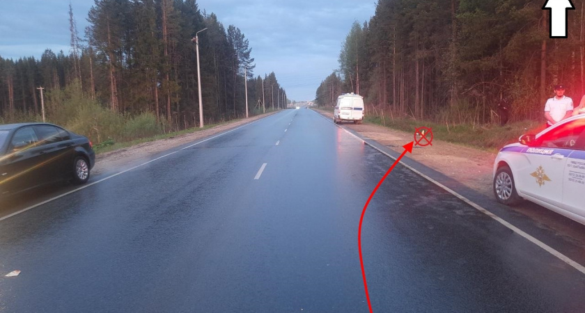 В Сыктывкаре байкер с 361 нарушением ПДД попал в ДТП