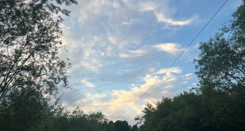 Синоптики рассказали о погоде в Коми на 10 июня