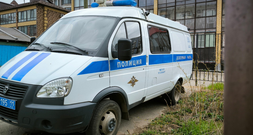 Злая сыктывкарка разбила три автомобиля, окна в доме и бане местного жителя