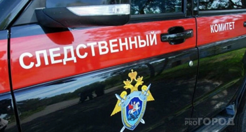 В Следственном комитете России взяли на контроль инцидент с падением сыктывкарки в автобусе