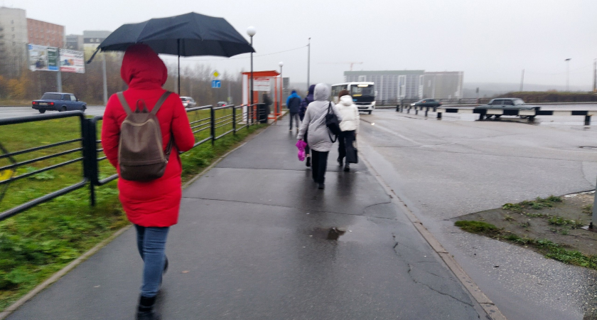 Синоптики рассказали о погоде в Коми на 12 июня