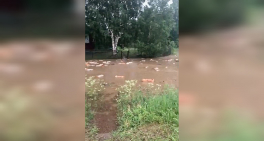 В Коми мощный ливень едва не смыл детский сад: вода затопила огороды и дровяники местных жителей