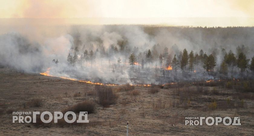 В Коми из-за грозы случился лесной пожар