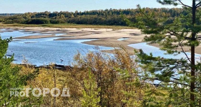 В Коми исчезли редкие лишайники