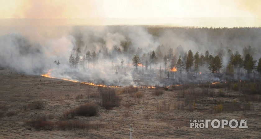 В Троицко-Печорском районе Коми горит лес