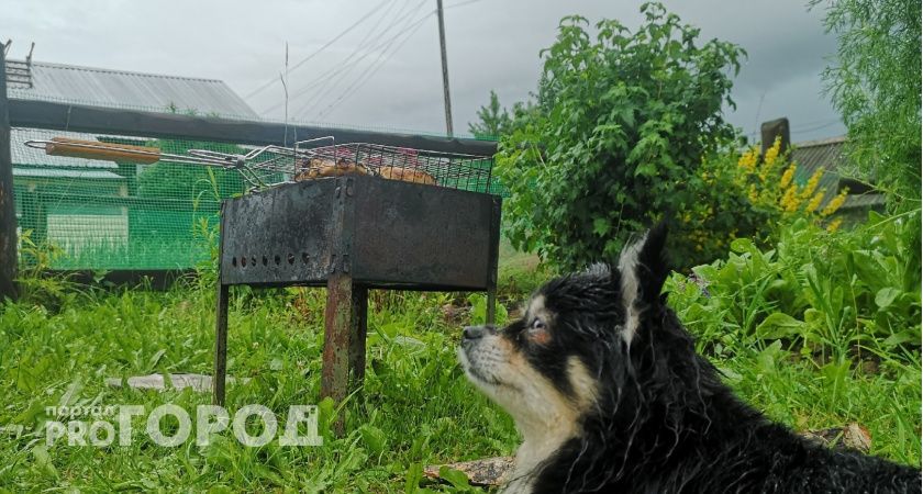 Этих счастливчиков ждет выход на бесконечную белоснежную полосу: Тамара Глоба назвала три знака