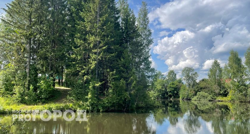 В Коми черных археологов могут посадить за решетку