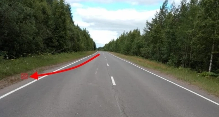 В Корткеросском районе Коми перевернулся МАЗ с прицепом