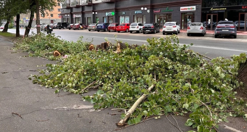 Ухтинец отсудил у администрации города более 700 тысяч рублей за упавшее дерево