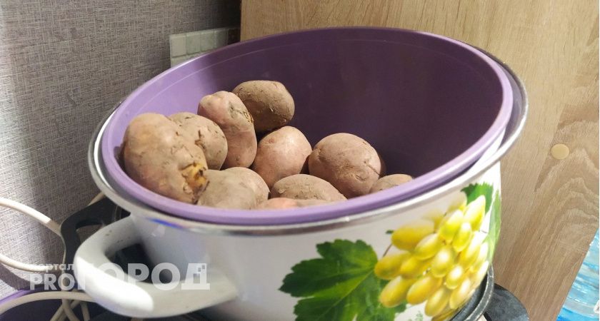 Как понять, что картошку пора копать: признаки и советы