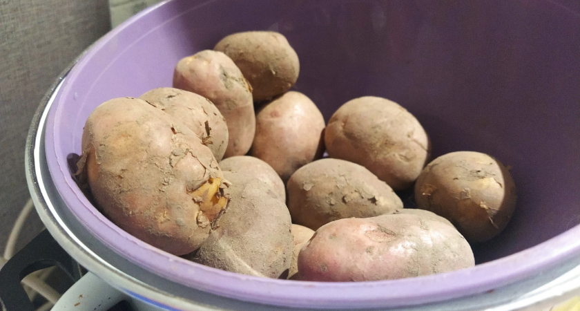 За прошедшие полгода картофель в Коми подорожал в два раза