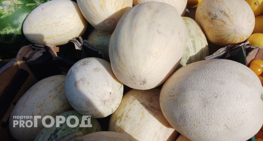 Забыла в огороде на ночь корочку дыни — утром вышла и обомлела: теперь специально оставляю — от эффекта в восторге