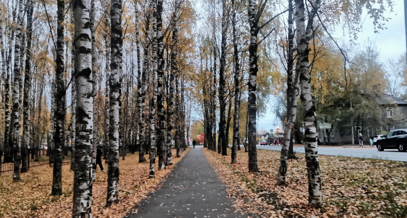 В Коми пришли первые заморозки