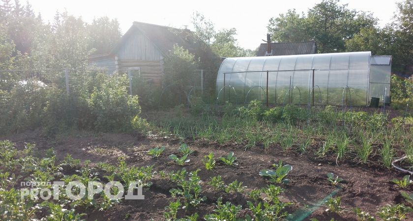 Лучше сидератов и навоза: В сентябре добавляю это в почву — и даже самая тяжелая земля становится пышной и плодородной