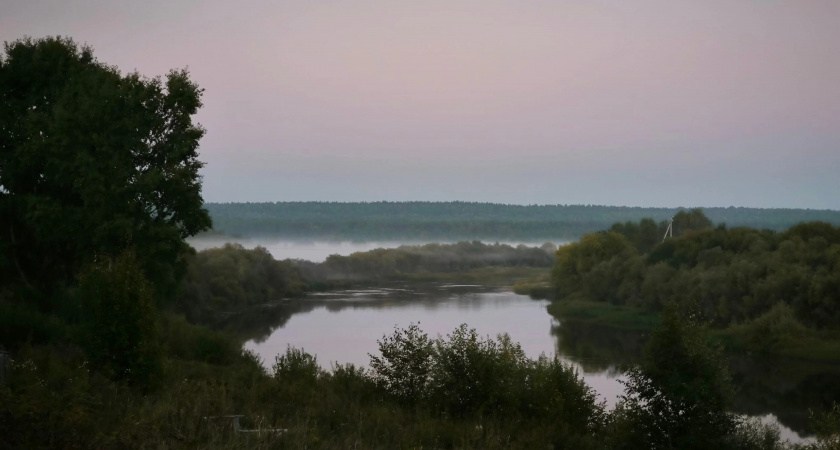 Тепло и туманно: погода в Коми 9 сентября