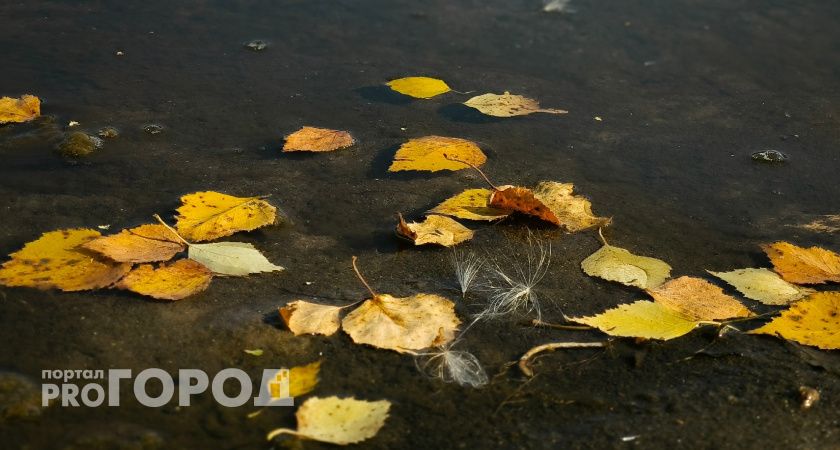 Врачи Республики Коми предупредили о риске фотосессий в осенней листве