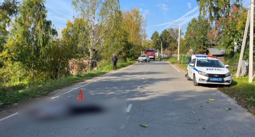 Появилось видео с места смертельного ДТП в Усть-Куломе, где погиб пенсионер