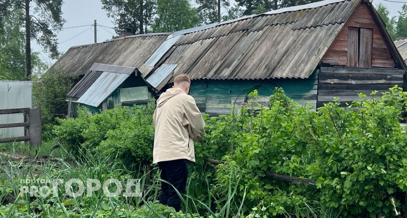 Раскидываю по 200 грамм на метр в сентябре – земля на следующий год превратится в чернозем