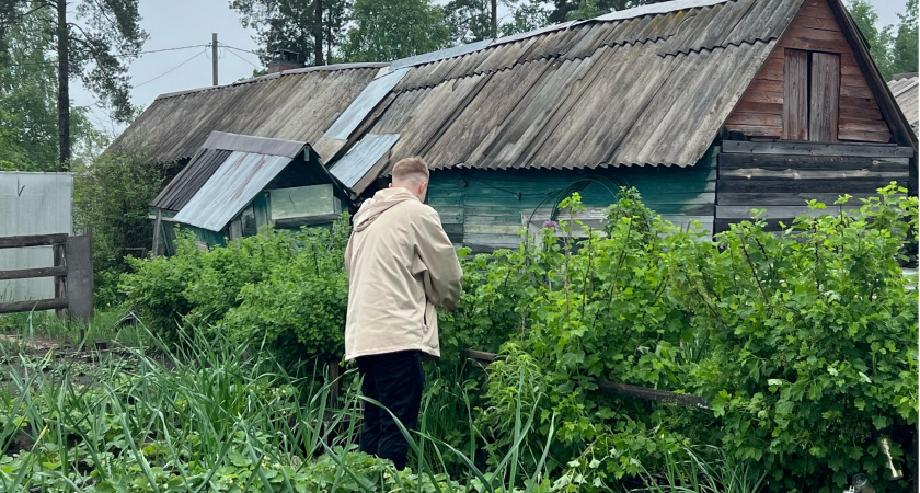 Сумма будет крупной: дачников предупредили о штрафах за прополку грядок