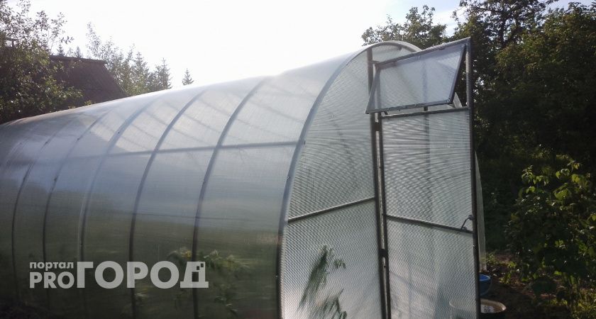 Посадите свои семена правильно — и весной вас ждёт приятный сюрприз на грядке 