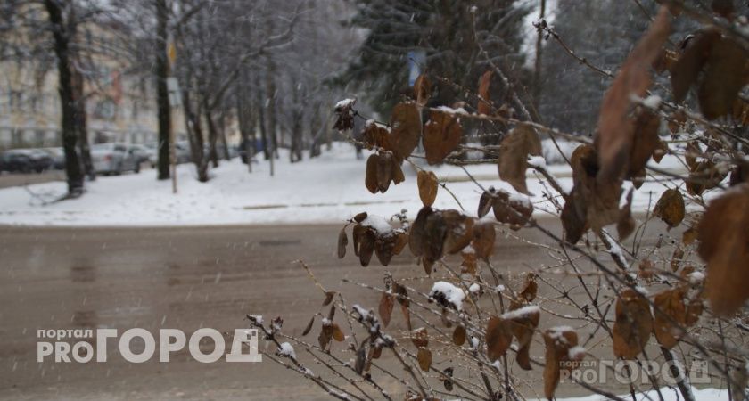 Снег нагрянет неожиданно рано: синоптики назвали точную дату начала зимы