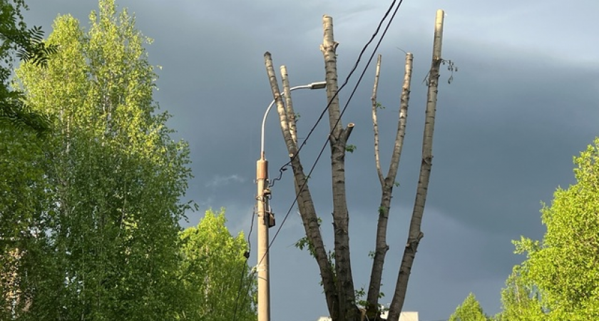 В Коми наступил сезон дождей