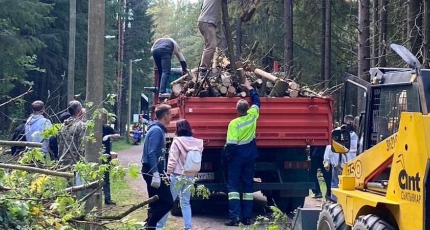 Добровольцы убрали поваленные деревья в одном из сыктывкарских парков