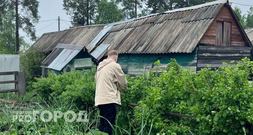 Теперь полностью запрещено: новое правило для всех, у кого есть дача и огород