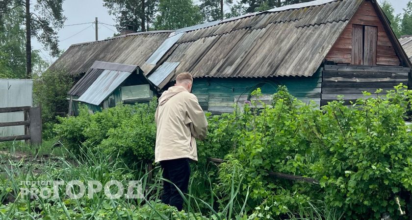 Теперь полностью запрещено: новое правило для всех, у кого есть дача и огород