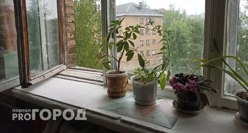 Высасывают все силы и здоровье: это цветы-вампиры, которые не стоит держать дома