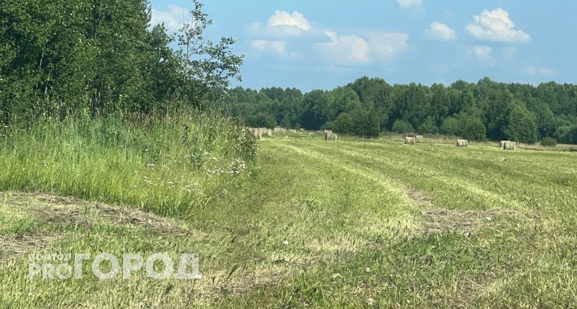 В Коми вдова, погибшего под прессом на сенокосе мужчины, отсудила компенсацию 