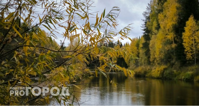 В Коми сняли особый противопожарный режим 