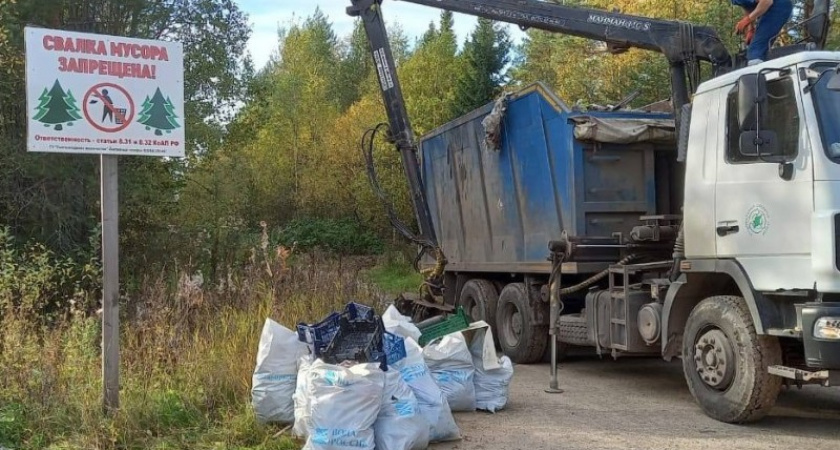 В одном из районов Коми частично ликвидировали незаконную свалку