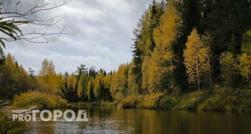 За год на реках Коми погибли более 30 человек