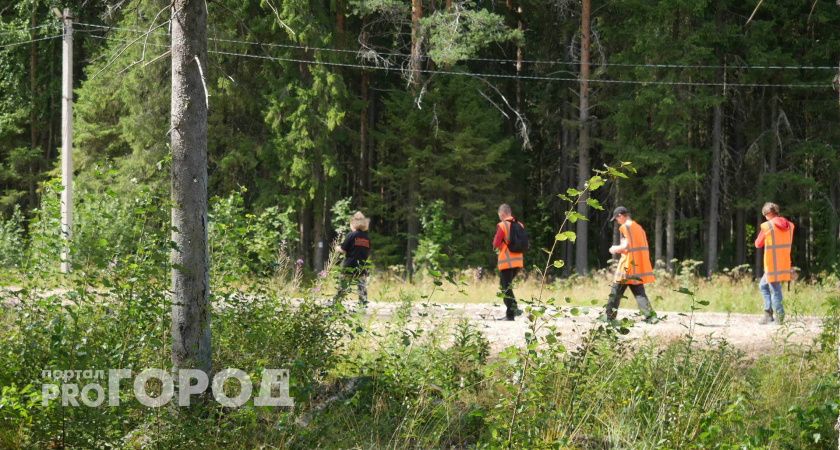 В Коми пропавшую женщину в Сысольском районе искали кинологи