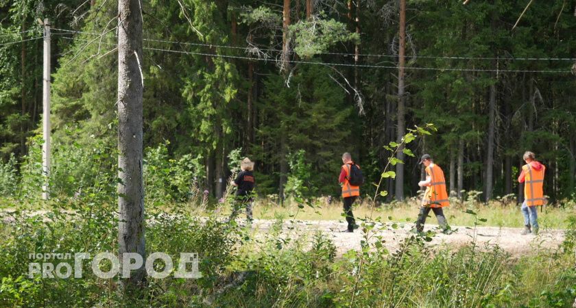 В Сыктывкаре разыскивают девушку 2005 года рождения: она пропала месяц назад