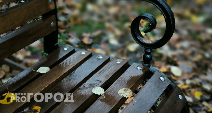 Венера указала им золотую дорогу: три знака зодиака, которых скоро ждет невероятная удача