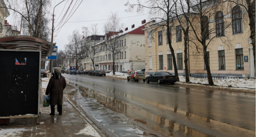 Зимы не будет: Роман Вильфанд поделился точным прогнозом, будет ли снег на Новый год